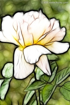 花朵装饰画  无框画