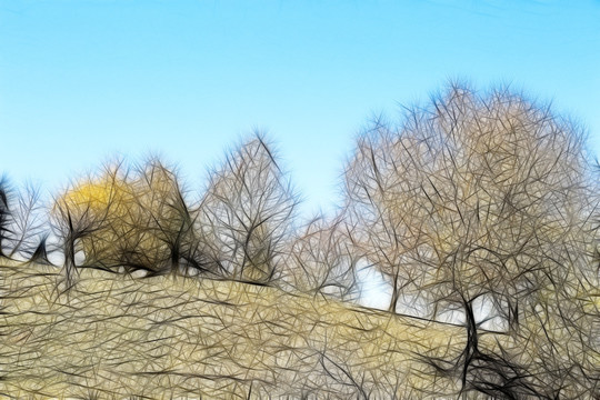 装饰画  线描
