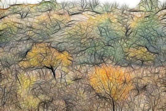 装饰画  线描 背景  底纹