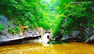 金丝峡