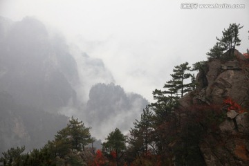 伏牛山老界岭云海