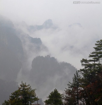 伏牛山老界岭云海