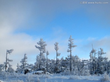 林海雪原