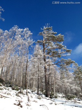 林海雪原