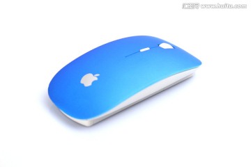 鼠标