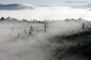 云雾林海 无限风光在险峰