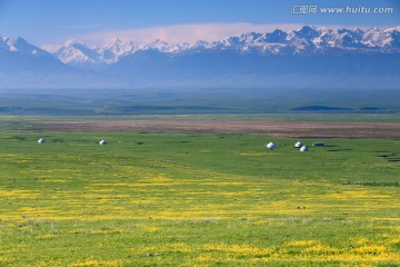 美丽的新疆草原