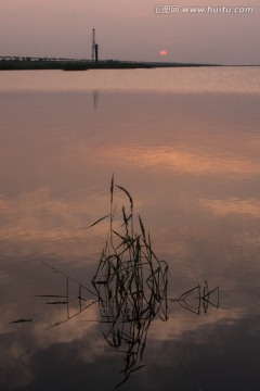 湿地日落 池塘 竖片 竖构图