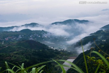 山 云雾 梯田