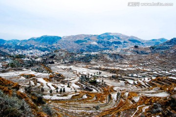 雪景