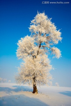 吉林 雾凇  雪景