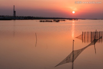 湿地日落 池塘 太阳 小鸟