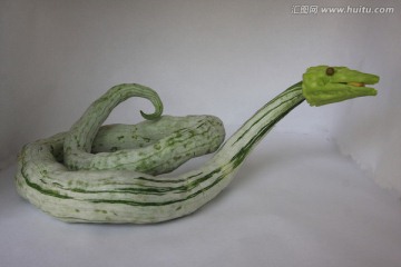绿色蛇瓜