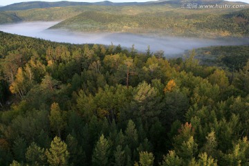 云雾飘在林海间
