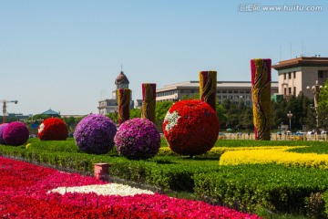 立体花卉