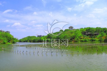 湖畔风光