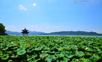 西湖聚贤亭