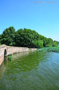 西湖景色