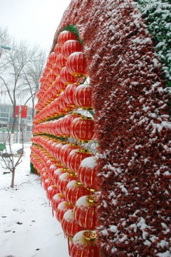 灯笼 大红灯笼 雪花 雪景