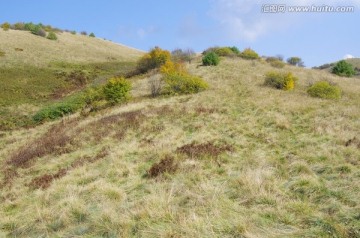 陕西安康岚皋神禾草原 草甸