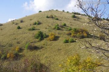 陕西安康岚皋神禾草原