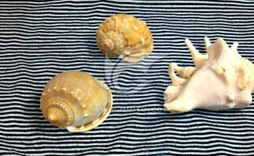 海印象