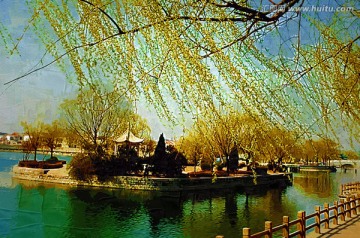 柳树装饰画