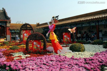 开封 菊花花会展