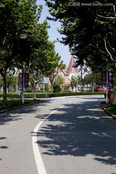 上海 东方绿舟 公园 道路
