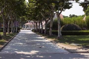 上海 东方绿舟 公园 道路