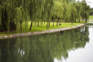 上海 东方绿舟 公园 草坪
