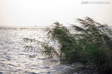 淀山湖 水面 公园 户外 晴天