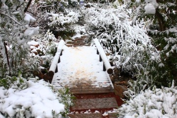雪景