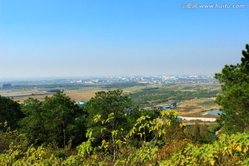 森林风景