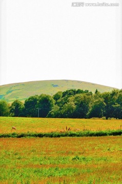 英国风景（非高清）