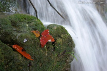 红叶 溪水