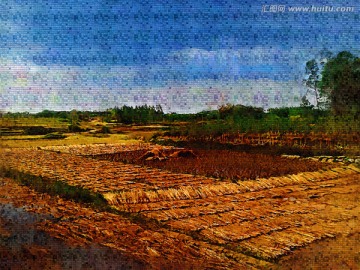 田野风景