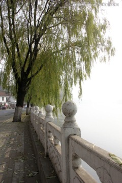 栏杆