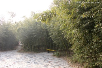竹林