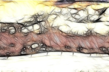 装饰画