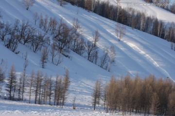 山坡上雪纹