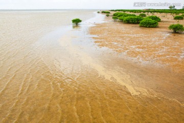北仑河口 海洋湿地 滩涂