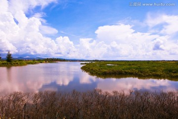 北仑河口 海洋湿地 红树林