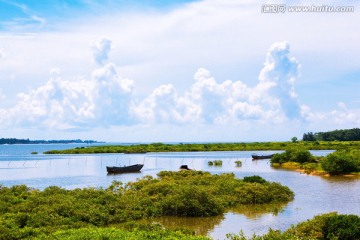 北仑河口 海洋湿地 红树林