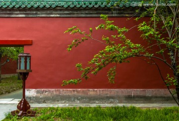 中国古典皇家园林红墙绿树