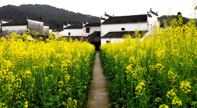 婺源思溪延村