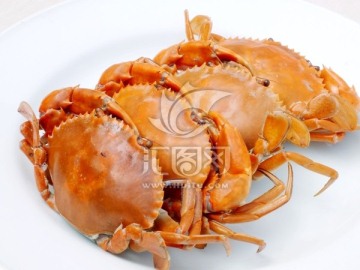 一盘螃蟹