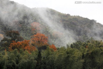山林