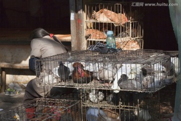 上海小街道 百姓生活 农贸市场