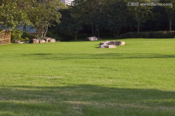 阳光 草坪  城市 园艺 公园